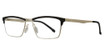 AirMag Eyeglasses AIRMAG A6354 Mocha Gold/C3