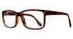 Global Optique Eyeglasses MP462 DEMI AMBER