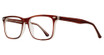 Global Optique Eyeglasses MP499 BROWN