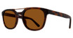 Eye Q Eyewear Eyeglasses MP6000 Matte Tortoise/TORTOISE