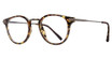 Eight to Eighty Eyewear Eyeglasses College Tortoise/Gun