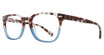 Eye Q Eyewear Eyeglasses MP207 Demi Blue/BLUE