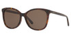 COACH Eyeglasses HC8271U L1101 DARK TORTOISE/512073
