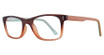 Eye Q Eyewear Eyeglasses SW527 BROWN/TEAL/BROWN