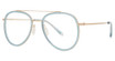 Paradigm Eyeglasses 19-10 Gold/YG