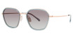 Paradigm Eyeglasses 19-37 Rose Gold/RG