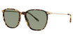 Paradigm Eyeglasses 19-38 Tortoise/TO