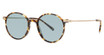 Paradigm Eyeglasses 19-40 Tortoise/TO