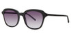 Paradigm Eyeglasses 19-41 Black/BK
