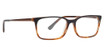 Argyleculture Eyeglasses Mayfield Black/Tortoise/BLTR