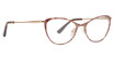 XOXO Eyeglasses Belleair Brown Cheetah/BRCH