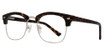 Eight to Eighty Eyewear Eyeglasses Buster Tortoise Gold