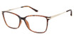 VÄRi Eyeglasses VR22 DEMI/GOLDTEMPLE/C10