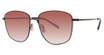 Paradigm Eyeglasses 20-53 Black/BK