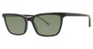 Paradigm Eyeglasses 20-57 Black/BK