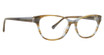 Trina Turk Eyeglasses Odessa Grey/GREY