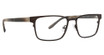 Badgley Mischka Eyeglasses Saratoga Brown/BRWN