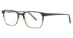Haggar Eyeglasses H286 Tortoise/Grey/47