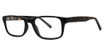 House Collections Eyeglasses Taylor Black Tortoise/BT