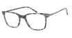Modo Eyeglasses QUINCY Tortoise/TRT