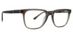 Argyleculture Eyeglasses Hillman Grey Crystal/GRCY