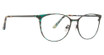 XOXO Eyeglasses Turin Green Tort/GRTR