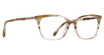 Badgley Mischka Eyeglasses Maelie Brown Horn/BRHN