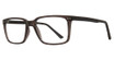 Eye Q Eyewear Eyeglasses EQ324 Grey/GREY