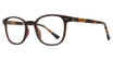 Eye Q Eyewear Eyeglasses GTN806 Brown/BROWN