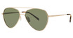 Paradigm Eyeglasses 20-60 Gold/YG