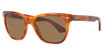 AO Eyewear Eyeglasses Saratoga Havana/4