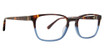 Argyleculture Eyeglasses Wyman Tortoise Blue/TRBL