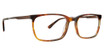 Argyleculture Eyeglasses Gilmour Brown Horn/BRHN
