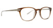 Badgley Mischka Eyeglasses Gaylen Brown/BRWN