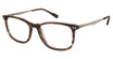 Sperry Eyeglasses SPMORSE BROWN HORN/C02