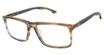 Champion Eyeglasses CULIT100 BROWN HORN/C01