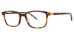 Paradigm Eyeglasses 21-08 Tortoise/TO