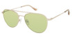 Denon Eyewear Eyeglasses LEO Satin Gold, Light Green Lens/SGD