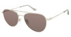 Denon Eyewear Eyeglasses LEO Shiny Silver, Black Lens/SIL
