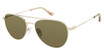 Denon Eyewear Eyeglasses LEO Shiny Gold, Classic G15/GD