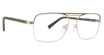 Trina Turk Eyeglasses Burns Grey/GREY