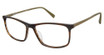 Champion FL4005 BROWN HORN/C02
