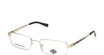 Harley-Davidson Eyeglasses HD0883 pale gold/032