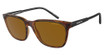 Arnette AN4291 CORTEX DARK AVANA/277083
