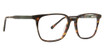 Life is Good Eyeglasses Dean Tortoise/TOR