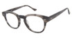 Denon Eyewear Eyeglasses CLAYTON 17/17