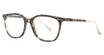 Cinzia Eyeglasses CIN-5137 Iced Coffee/1