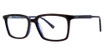 Randy Jackson Eyeglasses Randy Jackson 3072 TORTOISE/BLUE/165