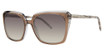 Vera Wang Eyeglasses Sheryl Desert/DS