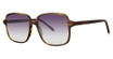 Paradigm Eyeglasses Fonda Sun Tortoise/TO